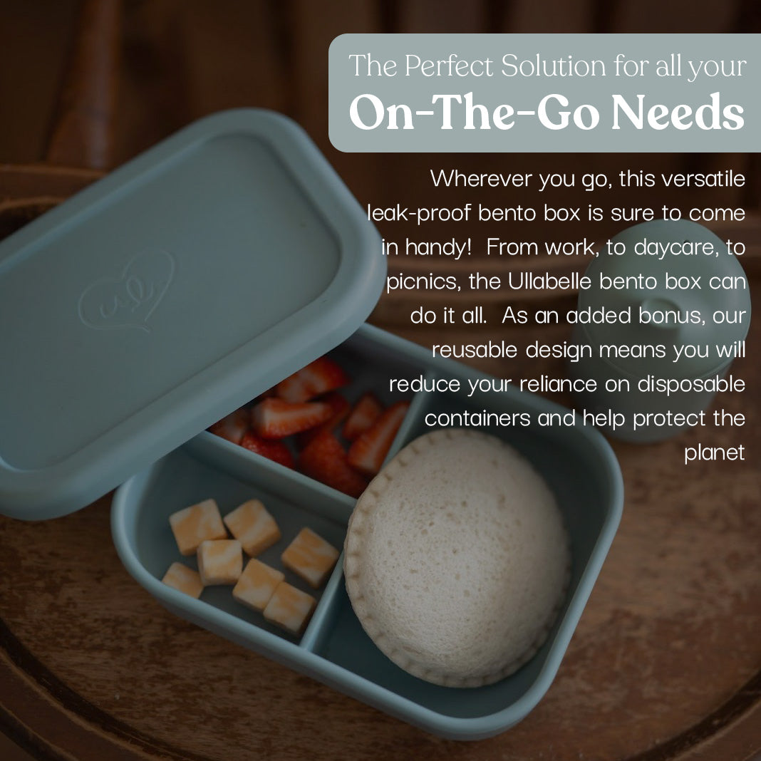 Bento Lunchbox (Blueberry)